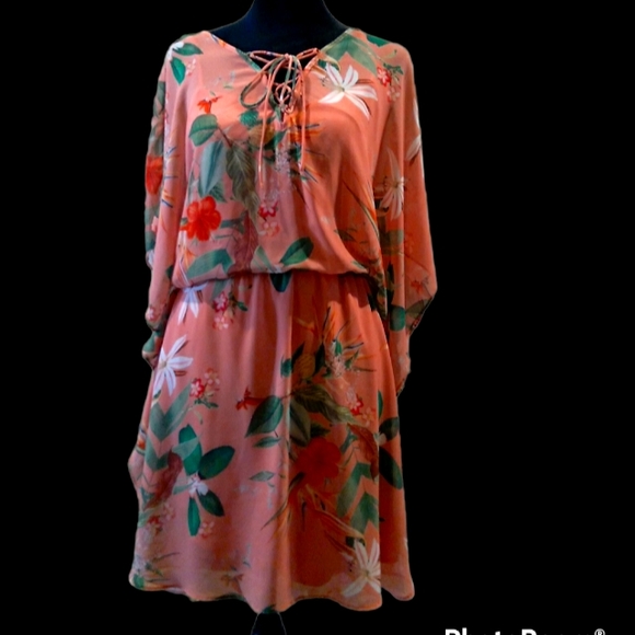 Express Label: A Beautiful Spring or Summer-Time Dress - Picture 1 of 3